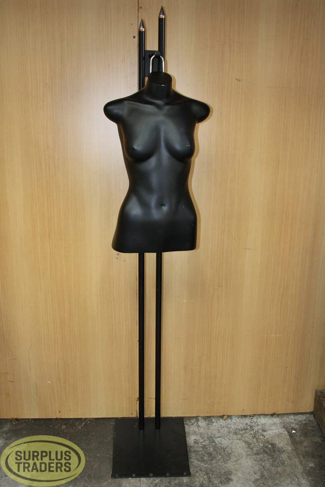 Hanging Torso on Stand