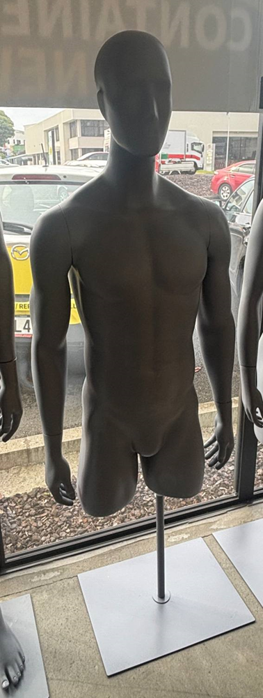 Male Torso with Stand - New
